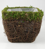 moss and wicker square pot 5in - thumbnail number 3