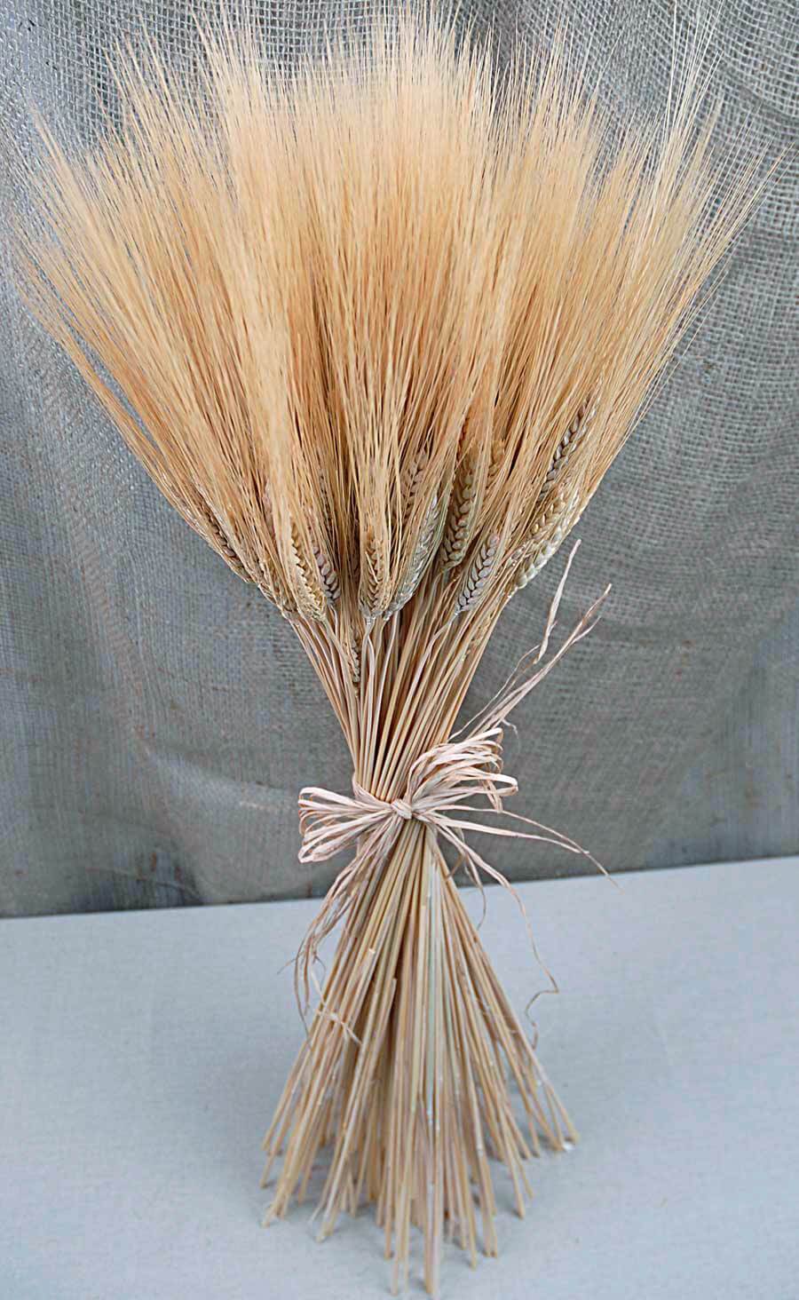 Triticum Wheat Bundle Natural 34 Inch