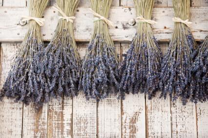 natural lavender buds stems fragrant 120 stems