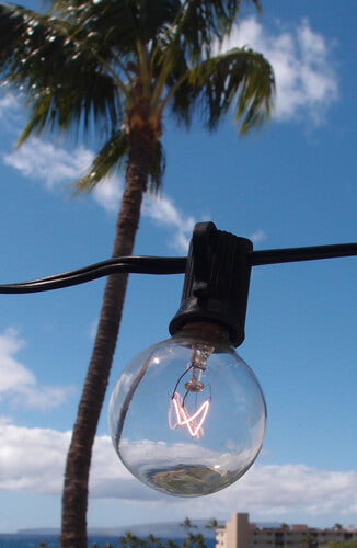 Globe Lantern Lights Strand 40ft Black Cord (10 bulbs)