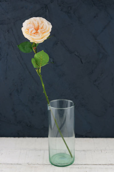 Set of 12 Long Stem Peach Roses 20"