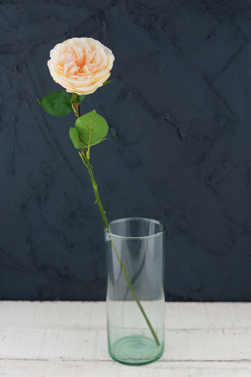 12 Long Stem Peach Roses - thumbnail number 1