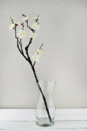 Plum Blossom Branches 18in