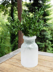 Preserved Boxwood Bundle in Natural Green 5oz. - thumbnail number 4