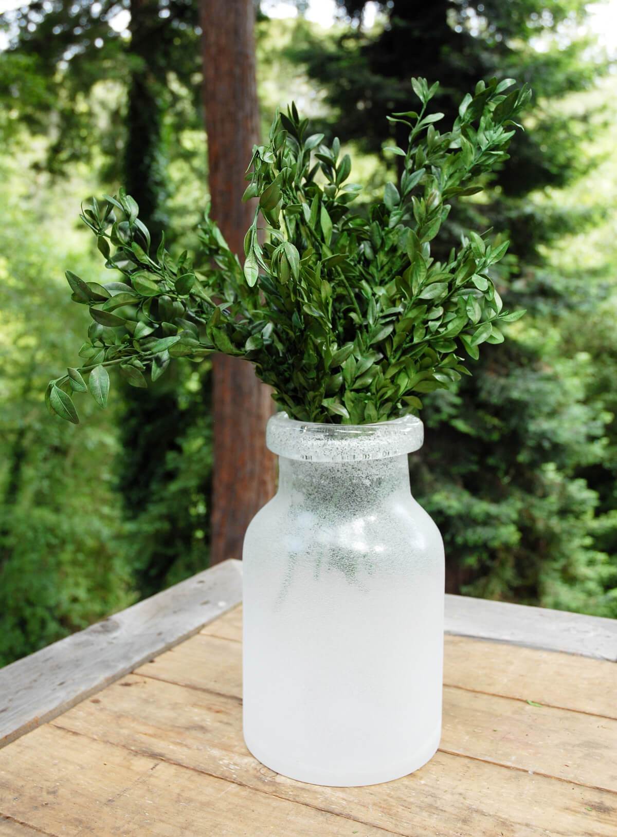 Preserved Boxwood Bundle in Natural Green 5oz.