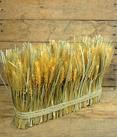 Natural Preserved Wheat Arrangement 10"x 15"