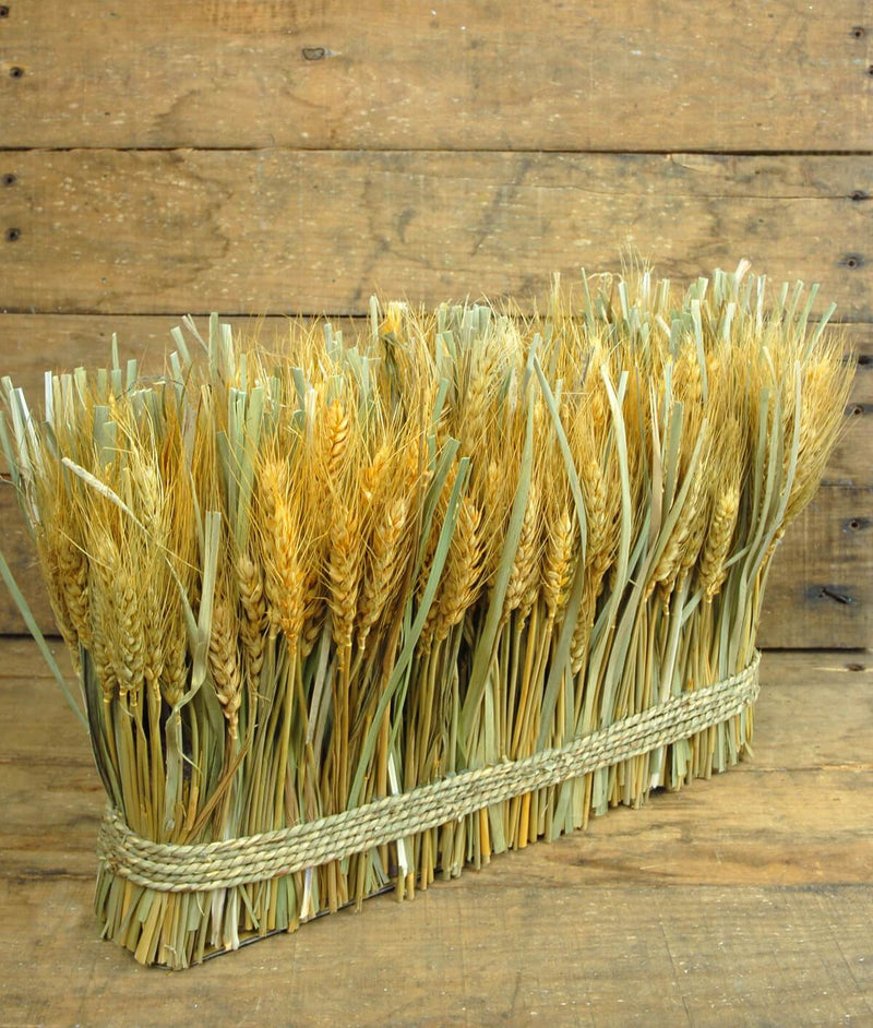 Natural Preserved Wheat Bundle 10"x 15" - thumbnail number 1