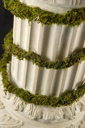 preserved moss vine 6ft - thumbnail number 2