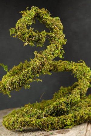 Preserved Moss Vine 6ft - Quick Candles