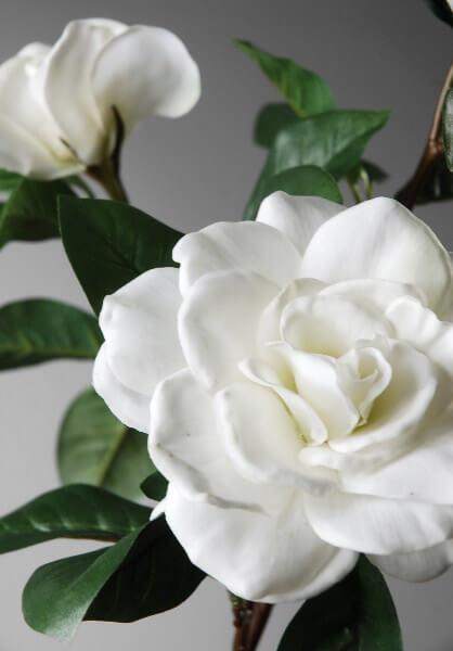 Silk Gardenias White