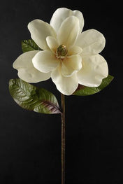 Deluxe White Silk Magnolias 34" - thumbnail number 1
