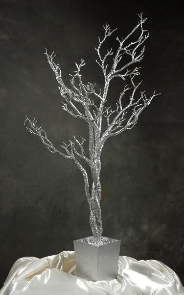 silver manzanita potted tree 4 feet height