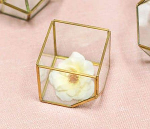 Hira Glass & Brass Terrarium Angled Cube 3.875"