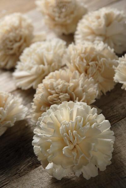 sola flower carnations 12 flowers