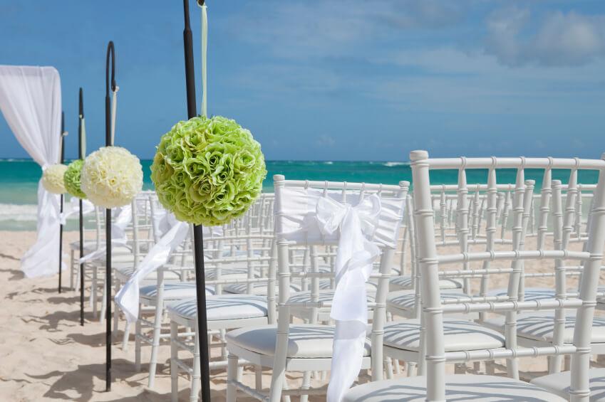 Adjustable Black Iron Shepherds Hook 34"-55"