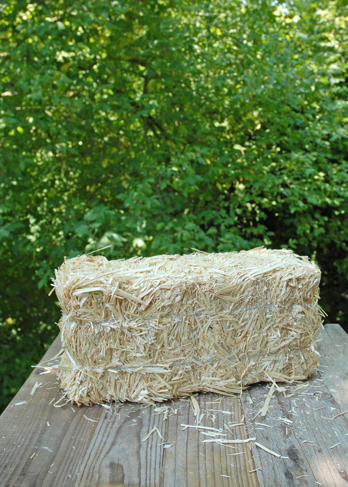 Straw Bale 13in