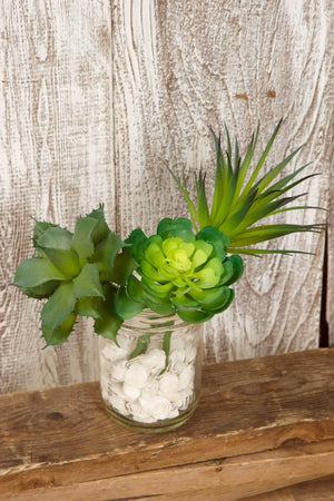 Richland Succulents Pack of 3