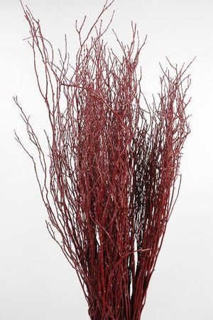 Natural Red Huckleberry Branches