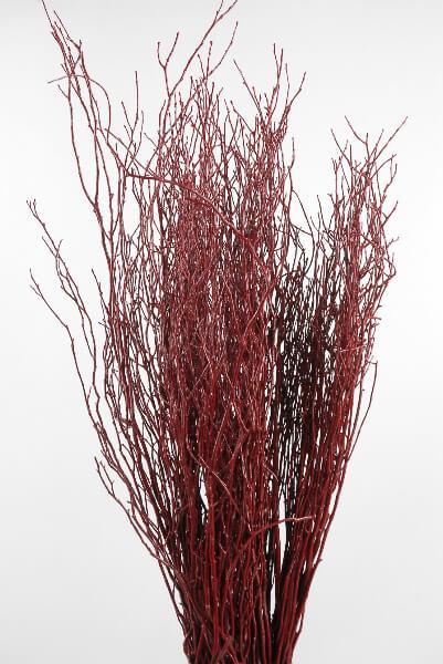 Natural Red White Birch Twigs 3-4 Foot Branches Floor Vase Tall Branch