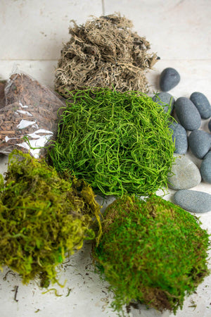 Terrarium Kit with Bark,Asst Mosses, Stones and Lichen