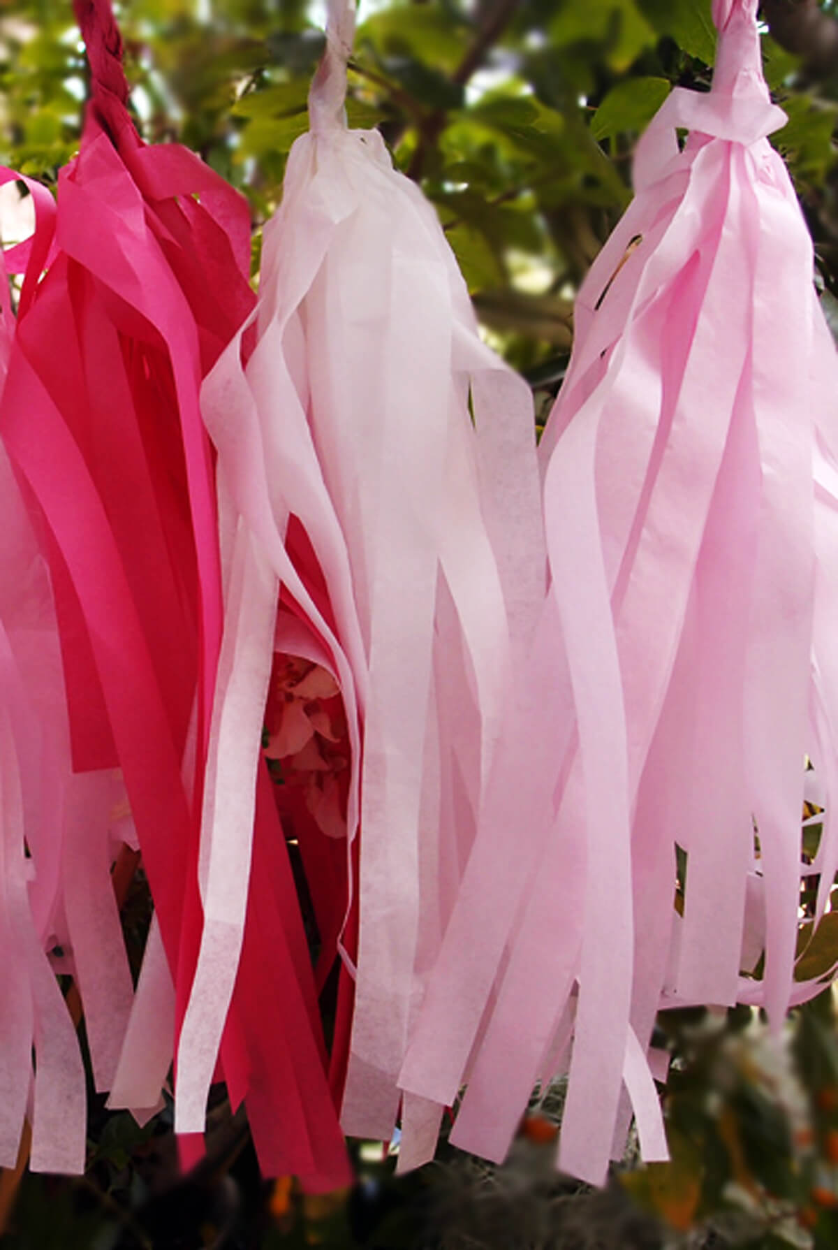 Tissue Paper Tassel Garland Kit (20 Tassels)- Pink Party