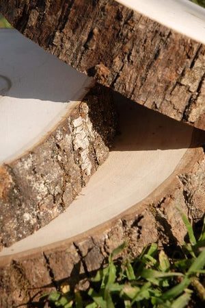 Tree Slice Wood Round 7-9" with Bark Edges