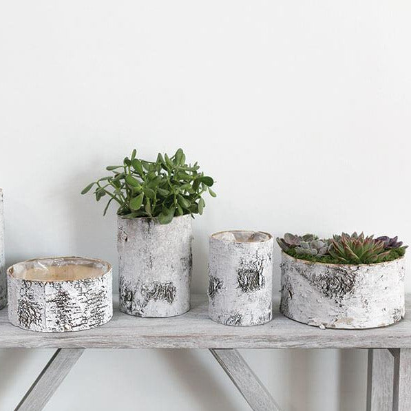 White Birch Bark Bowl Vase 10x4.7