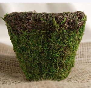 Moss and Wicker Planter Round 5"